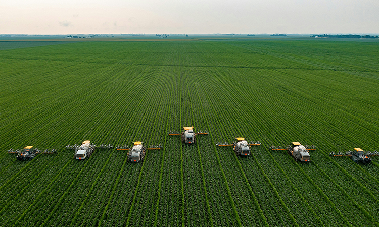 Nueva opci&oacute;n de cultivo ecol&oacute;gico, fertilizaci&oacute;n verde impulsa la actualizaci&oacute;n agr&iacute;cola